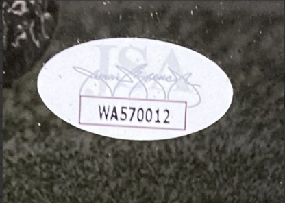 46353074