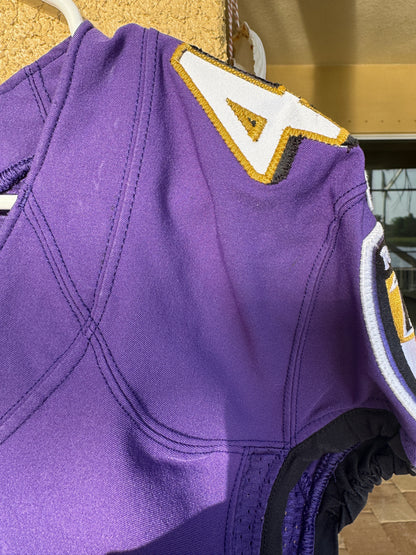 Patrick Queen GAME WORN💪2020 Season💯On-Field Baltimore Ravens Jersey💜Rare💥