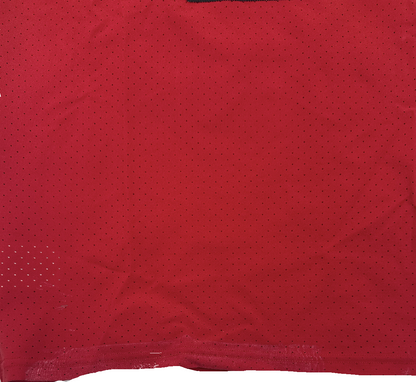 Haason Reddick GAME-WORN💪09/15/25 Tampa Bay Buccaneers On-Field NFL Jersey👕