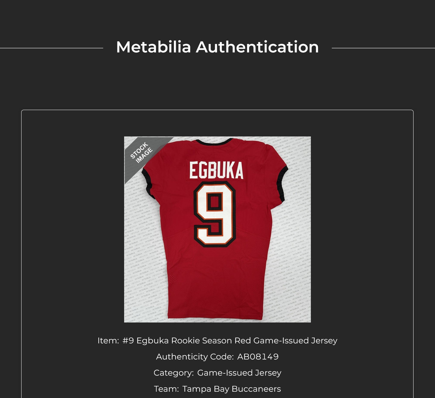 Emeka Egbuka GAME ISSUED Tampa Bay Buccaneers Nike On-Field NFL Jersey Inc. COA